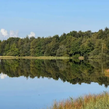 Ferienhaus 4 Star In